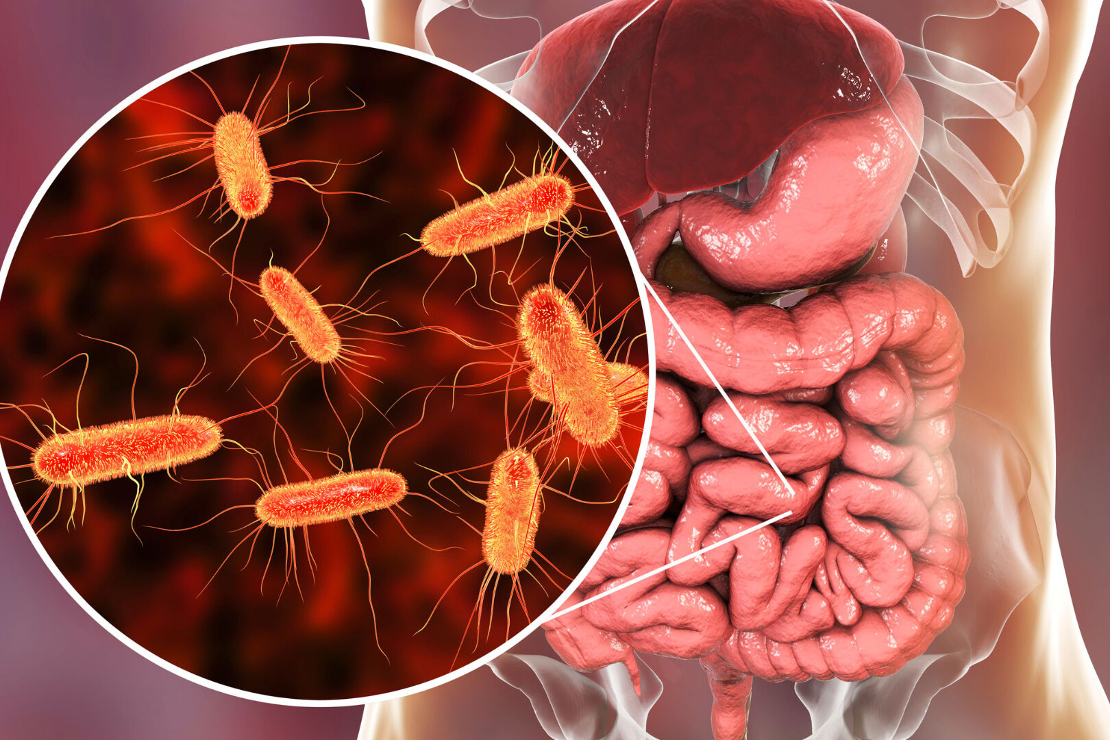 Cum influențează microbiota starea de sănătate